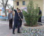 کاشت نهال درروز درختکاری  2