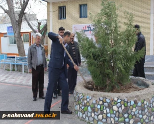کاشت نهال درروز درختکاری  2