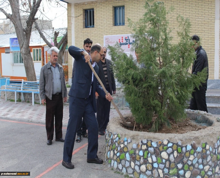 کاشت نهال درروز درختکاری  2