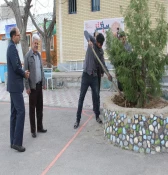 کاشت نهال درروز درختکاری  3