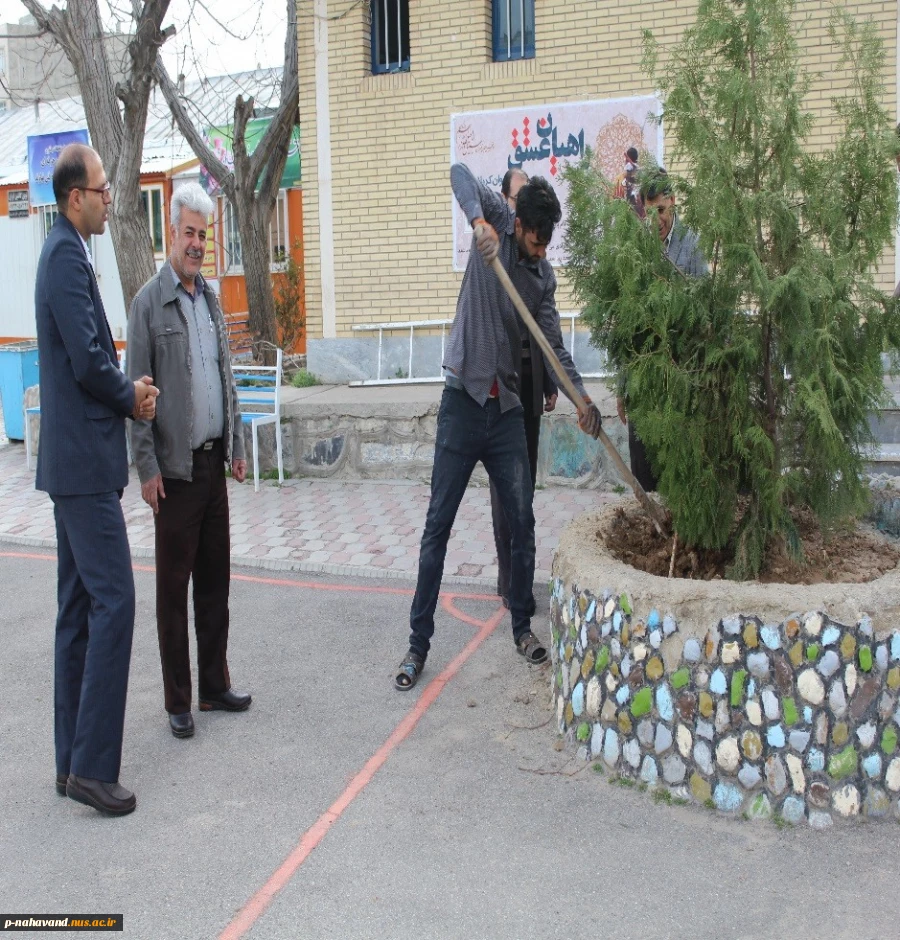 کاشت نهال درروز درختکاری  3