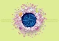 ولادت امام محمد باقر(ع)