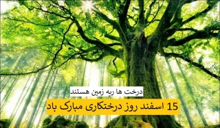 15 اسفند روز درختکاری گرامی باد