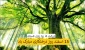 15 اسفند روز درختکاری گرامی باد