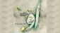 نیمه شعبان، ولادت حضرت مهدی(عج) مبارک باد