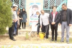 کاشت 10 اصله نهال  کاج به نیت شهدای شهرستان نهاوند  در هفتمین روز هفته درختکاری در محوطه آموزشکده فنی و حرفه ای نهاوند ( حاج حشمت شهبازی) 2
