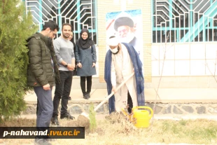 کاشت 10 اصله نهال  کاج به نیت شهدای شهرستان نهاوند  در هفتمین روز هفته درختکاری در محوطه آموزشکده فنی و حرفه ای نهاوند ( حاج حشمت شهبازی) 3