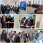 افتتاح  اولین فن بازار مرکز رشد نهاوند با حضور برخی از اعضاء هیئت رئیسه دانشگاه فنی و حرفه ای استان همدان، توسط آقای دکتر جلالوند و خانم دکتر سیف انجام شد.