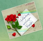 این الرجبیون...حلول ماه مبارک رجب و آغاز فصل مناجات و بندگی مبارک 2