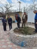 افتتاح اتاق اساتید وغرس  چند نهال به یاد شهدای گرانقدر روحانی در حیاط آموزشکده   6