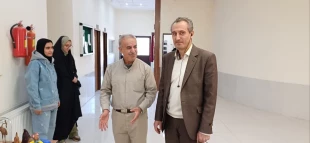 واحدهای خلاق مرکز رشد و دانشگاه ملی مهارت در راستای برنامه های شهر خلاق در کنار کار بزرگ شهرداری نهاوند  جشنواره برگ ریزان را درپارک آزادگان برگزار کردند. 8