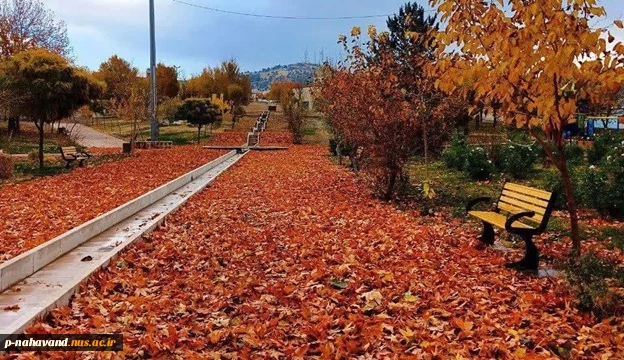 واحدهای خلاق مرکز رشد و دانشگاه ملی مهارت در راستای برنامه های شهر خلاق در کنار کار بزرگ شهرداری نهاوند  جشنواره برگ ریزان را درپارک آزادگان برگزار کردند. 11