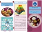 بسیج ملی تغذیه سالم گرامی باد.