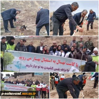 مشارکت اساتید و کارکنان دانشگاه ملی مهارت درپویش هر ایرانی یک درخت، یادگاری ما به زمین
