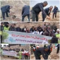 مشارکت اساتید و کارکنان دانشگاه ملی مهارت درپویش هر ایرانی یک درخت، یادگاری ما به زمین