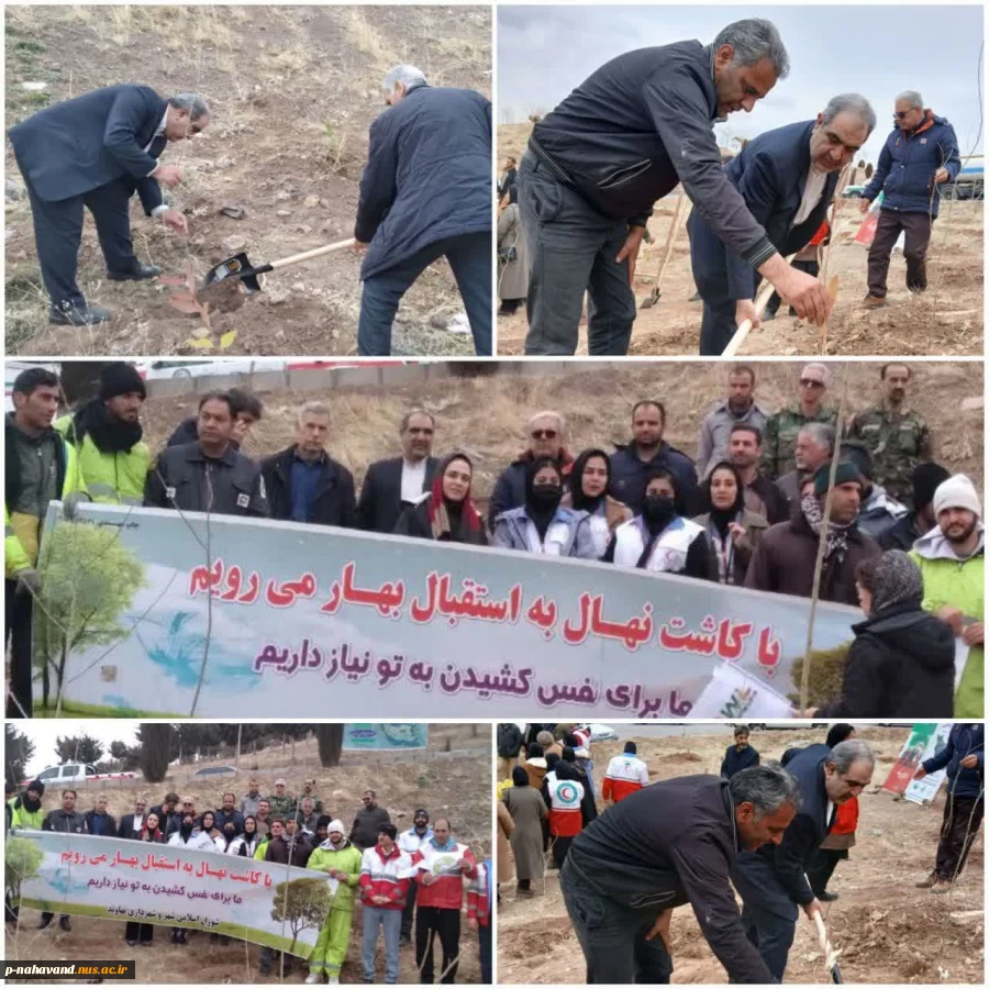مشارکت اساتید و کارکنان دانشگاه ملی مهارت درپویش هر ایرانی یک درخت، یادگاری ما به زمین 2