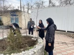 به مناسبت فرارسیدن ۲۲ اسفند سالروز بزرگداشت روز شهدا و تأسیس بنیاد شهیدانقلاب اسلامی، غرس پنج نهال مثمر در محوطه آموزشکده 22