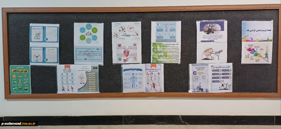 توجه ویژه اعضای کارگروه تخصصی نظارت،ارزیابی و تضمین کیفیت عتف استان به  تابلوهای اعلانات هفته تربیت بدنی 5